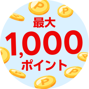 最大1,000ポイント