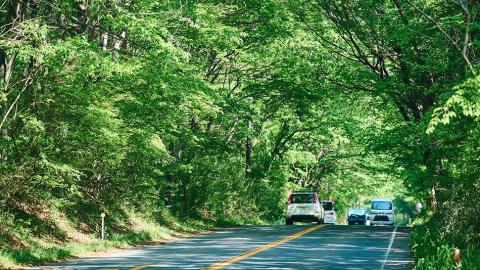 緑あふれる那須街道を遊びつくす！グルメとレトロに癒される日帰りドライブコース