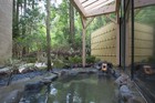 箱根小涌園　美山楓林