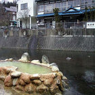 長湯温泉　紅葉館＜大分県＞