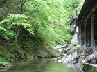 作並温泉　鷹泉閣　岩松旅館