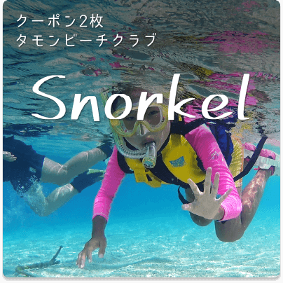 Snorkel