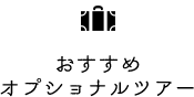 おすすめオプショナルツアー