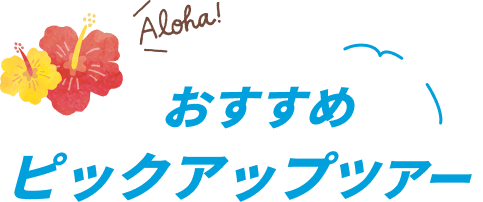 ピックアップツアー