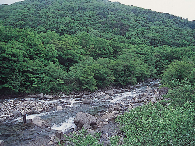 新甲子温泉