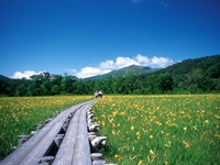 尾瀬ヶ原（群馬県）