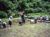 都立小峰公園