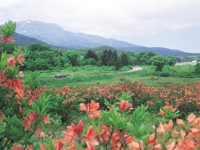 八甲田山・写真