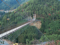 谷瀬の吊り橋