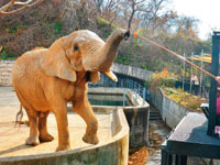 秋田市大森山動物園ミルヴェ