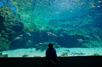 九十九島水族館海きらら 