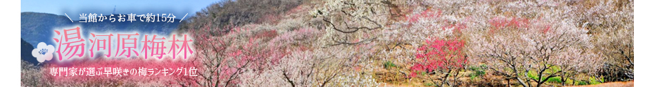 湯河原梅園