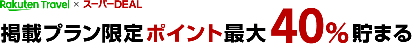 楽天ポイントDEAL掲載プラン限定ポイント最大40％貯まる