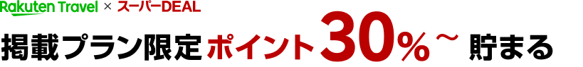 楽天ポイントDEAL掲載プラン限定ポイント最大30％貯まる