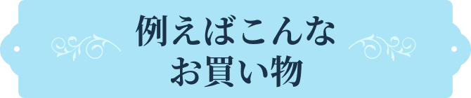 例えばこんなお買い物