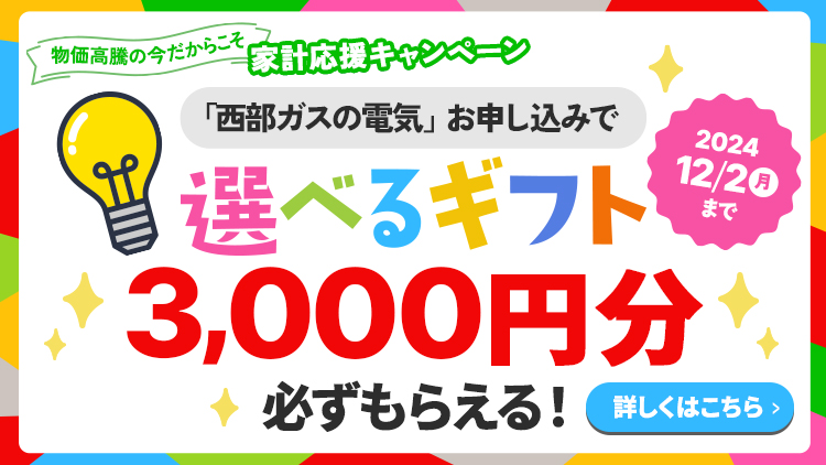 物価高騰の今だからこそ家計応援キャンペーン「西部ガスの電気」お申込みで選べるギフト3,000円分 2024年12/2月までスマートフォン用画像