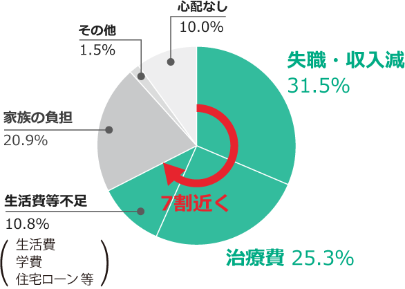 将来の不安アンケート円グラフ