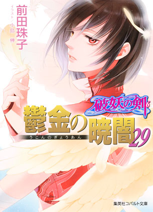 破妖の剣６　鬱金の暁闇29 前田珠子