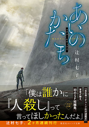 あいのかたち　マグナ・キヴィタス 辻村七子