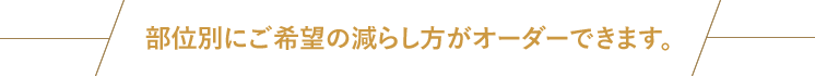 部位別にご希望の減らし方がオーダーできます。