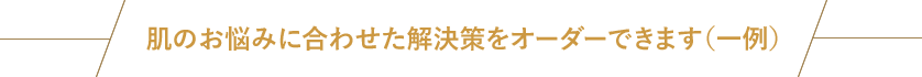 肌のお悩みに合わせた解決策をオーダーできます（一例）