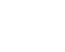 1995 10.08