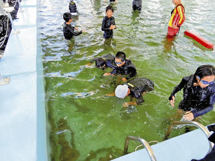 シュモクザメの泳ぐプールで水遊びを楽しむ子どもら（室戸市で）