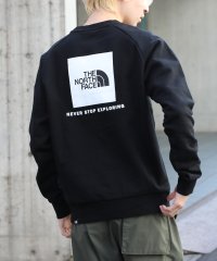 THE NORTH FACE/【THE NORTH FACE / ザ・ノースフェイス】REDBOX CREW レッドボックス トップス トレーナー スウェット プルオーバー ロゴ 長袖/505744284