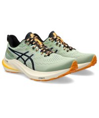 ASICS/GT－2000 12 TR/506109651