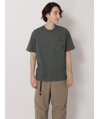 THE NORTH FACE/S/S California Pocket Tee/506111976