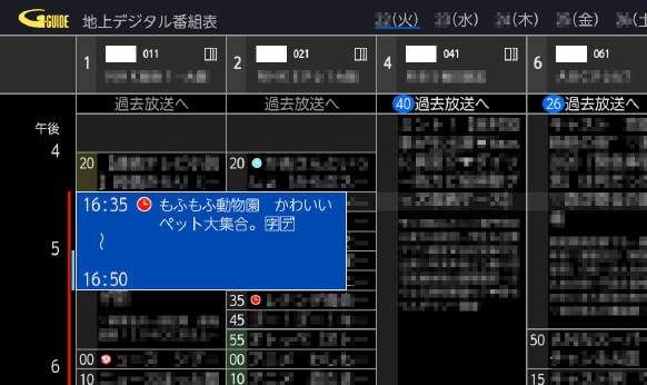 番組情報が拡大表示