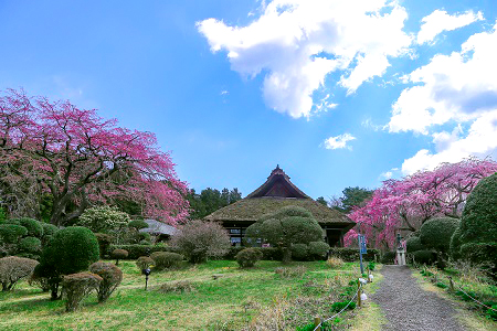 秩父宮記念公園