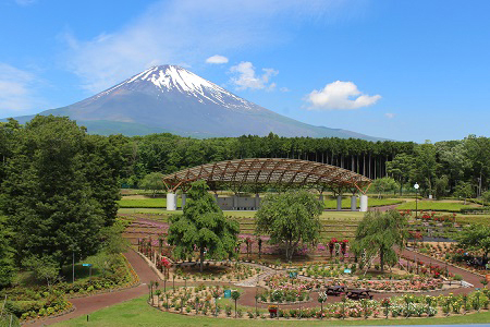 富士山樹空の森