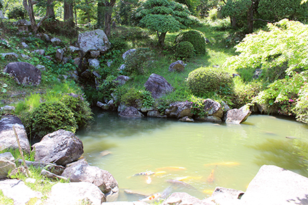 護国寺（ごこくじ）庭園