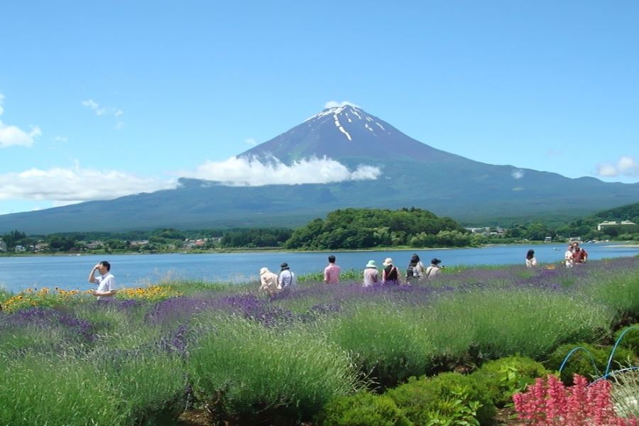 山梨県富士河口湖町