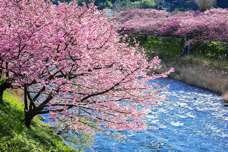 静岡県河津町