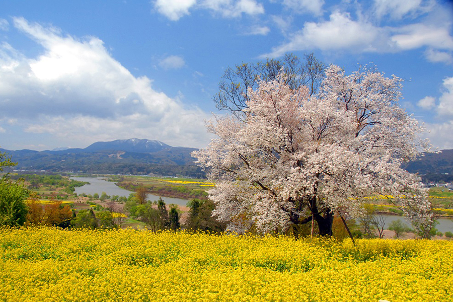 長野県飯山市