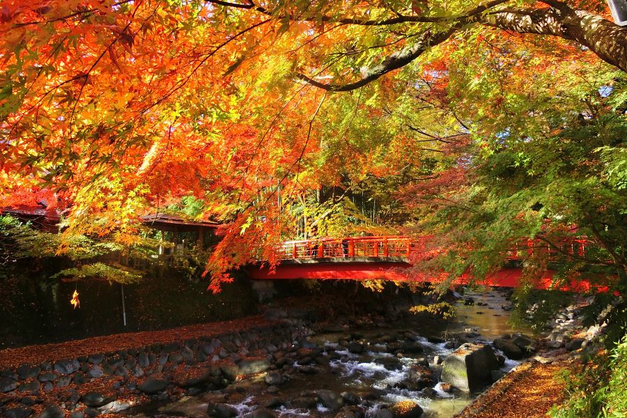 静岡県伊豆市