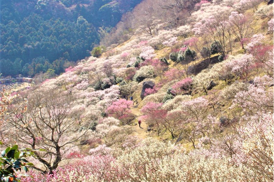 神奈川県湯河原町