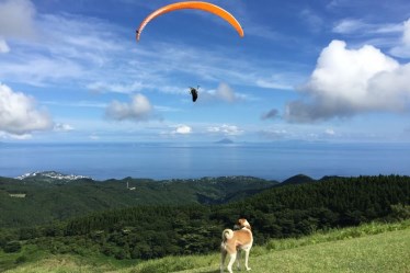 今井浜フライングスクール