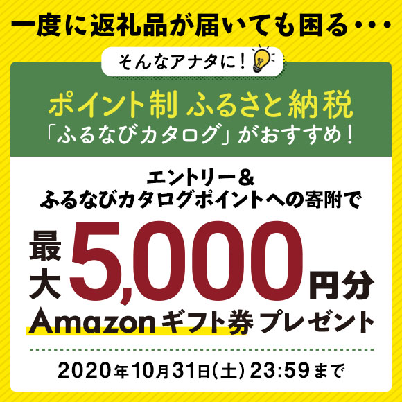 エントリー＆ふるなびカタログポイントへの寄附で期間中の合計寄附金額に応じたAmazonギフト券をプレゼント