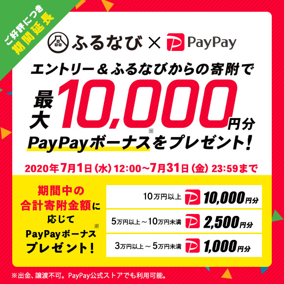 エントリー＆ふるなびからの寄附で、期間中の合計寄附金額に応じて最大10,000円分のPayPayボーナスをプレゼント！