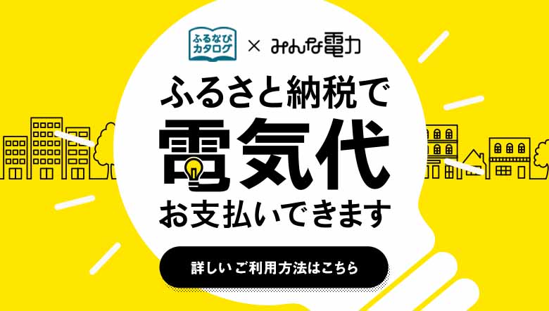 ふるさと納税でみんな電力の電気代の支払いができる「電力ポイント」について