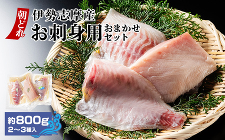 （冷蔵）伊勢志摩産　朝どれ　２～３種（約800ｇ）　お刺身用　おまかせセット／城水産　鯛　鰤　たい　ブリ　新鮮　真空　海の幸　三重県　南伊勢町