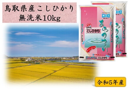 111J.鳥取県産こしひかり◇無洗米10kg◇令和5年産