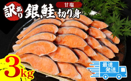 訳あり 鮭 サケ 3kg 冷凍 銀鮭 カマ入り 海鮮 規格外 不揃い 切り身 しゃけ シャケ サケ 【北海道･沖縄･離島への配送不可】 ( 大人気鮭 人気鮭 絶品鮭 至高鮭 詰め合わせ鮭 ギフト鮭 ギフト訳アリ鮭 鮭 訳あり鮭 新鮮鮭 新鮮訳あり鮭 本格鮭 訳あり本格鮭 冷凍鮭 冷凍訳あり鮭 海鮮鮭 海鮮訳あり鮭 冷凍鮭 訳あり鮭 訳あり品鮭 訳あり不揃い鮭 切り身鮭 訳あり切り身鮭  増量 増量鮭 訳あり増量鮭 テッパン返礼品鮭 テッパン返礼品訳あり鮭 鮭 )