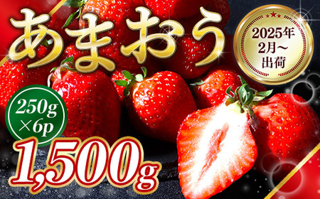 福岡県産 あまおう 1500g 送料無料 いちご 果物 フルーツ ギフト 季節限定 スイーツ ケーキ ブランド 先行予約 2025年2月より順次発送 TY052-3