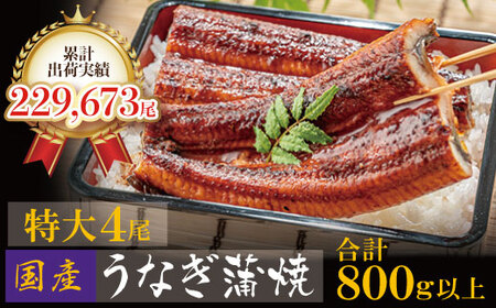 P61-74-01 国産 うなぎ 蒲焼特大サイズ4尾（計800g以上）鰻蒲焼用タレ・山椒付 鰻 うなぎ 有頭 ウナギ 生産量日本一 鰻 うなぎ ウナギ 鹿児島産 鰻 うなぎ ウナギ 宮崎産 うなぎ ウナギ 熊本産 うなぎ 鰻 ウナギ 国産 鰻 うなぎ ウナギ うなぎ 鰻 ウナギ 土用の丑の日 鰻 うなぎ ウナギ 贈答 うなぎ 鰻 ウナギ 九州産 うなぎ 鰻 ウナギ 4尾 うなぎ 鰻 ウナギ 蒲焼 うなぎ 鰻 ウナギ 冷凍 うなぎ 鰻 ウナギ ギフト うなぎ 鰻 ウナギ 山椒うなぎ 鰻 ウナギ うなぎ うなぎ うなぎ うなぎ うなぎ うなぎ うなぎ うなぎ うなぎ うなぎ うなぎ うなぎ うなぎ 送料無料 【wksg01】 【fukuchi00】