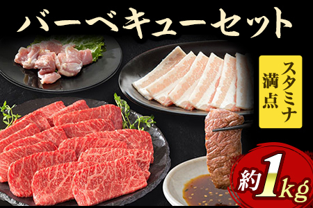 スタミナ満点！バーベキューセット 約1kg モモ 牛肉 豚肉 鶏肉 J339