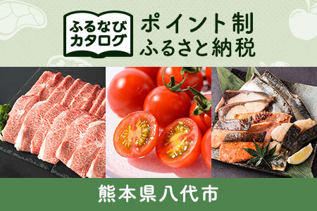 【有効期限なし！後からゆっくり特産品を選べる】熊本県八代市カタログポイント